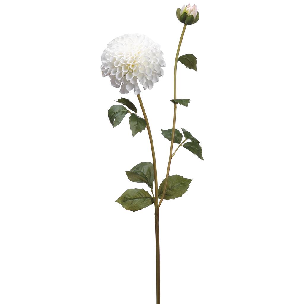 D264465S_1.jpg img